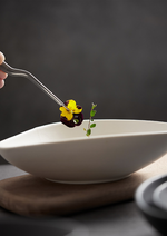 Nordic Luxury Ceramic Dinner Plate – Modern Western Pasta Tableware fo