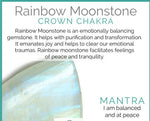 Rainbow Moonstone & Crystal Quartz Stretch Bracelet! Genuine Crystals!