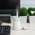 USB Penguin Aroma Humidifier