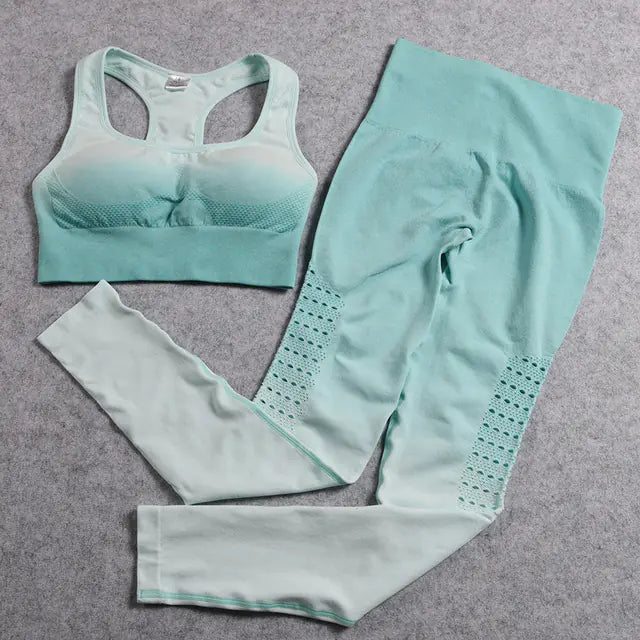 Women's Seamless Yoga Set - 2-Piece Workout Outfit