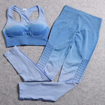 Women's Seamless Yoga Set - 2-Piece Workout Outfit