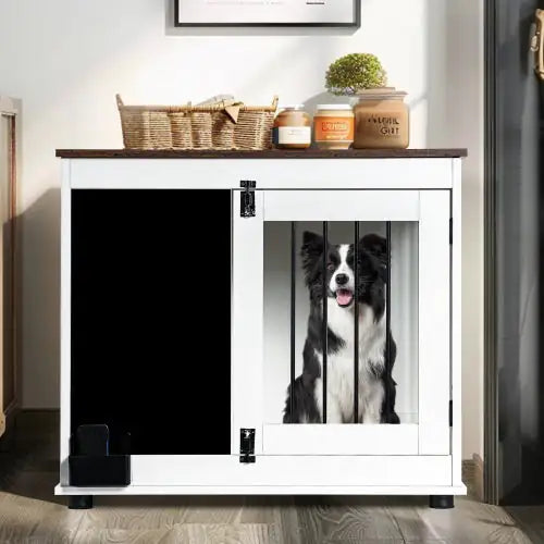 Graffiti Dog Cage, Kennel With 2 Doors