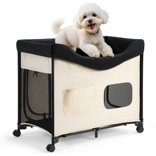 Elevated Lounge Pet Bed, Foldable Bunk Dog Bed with 600D Oxford Cloth