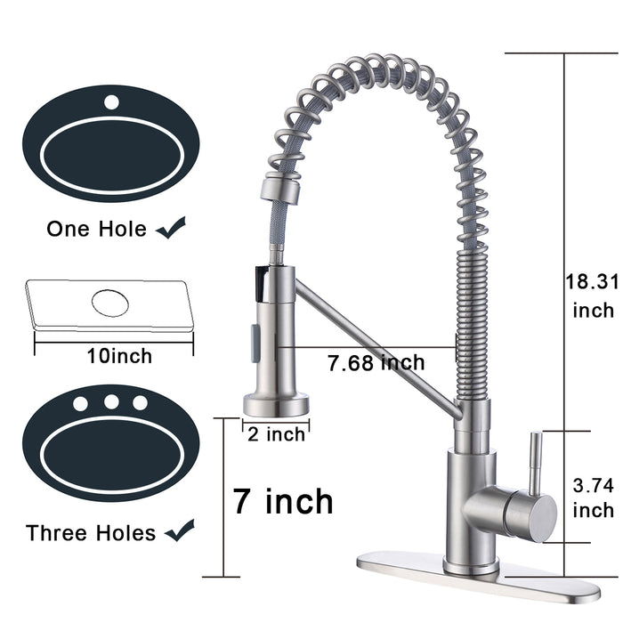 Single Handle Kitchen Faucet with Pull Down Sprayer