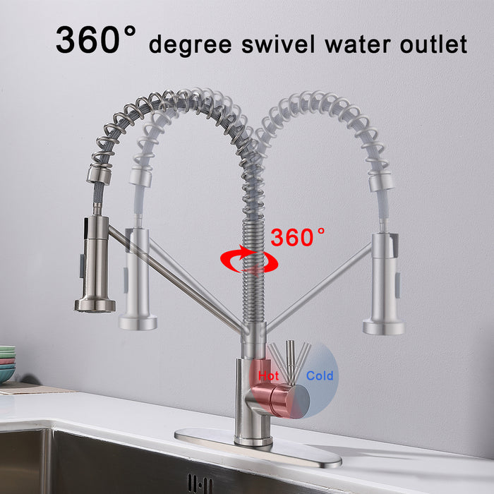 Single Handle Kitchen Faucet with Pull Down Sprayer