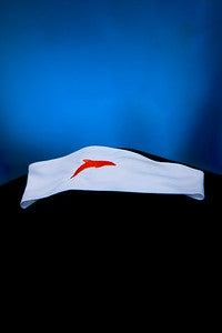 Dolphins Sun Visor