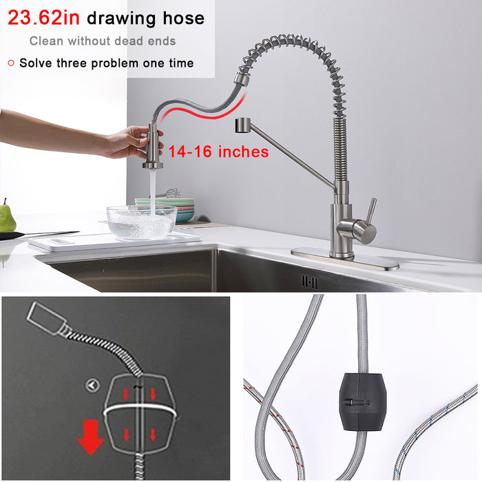 Single Handle Kitchen Faucet with Pull Down Sprayer