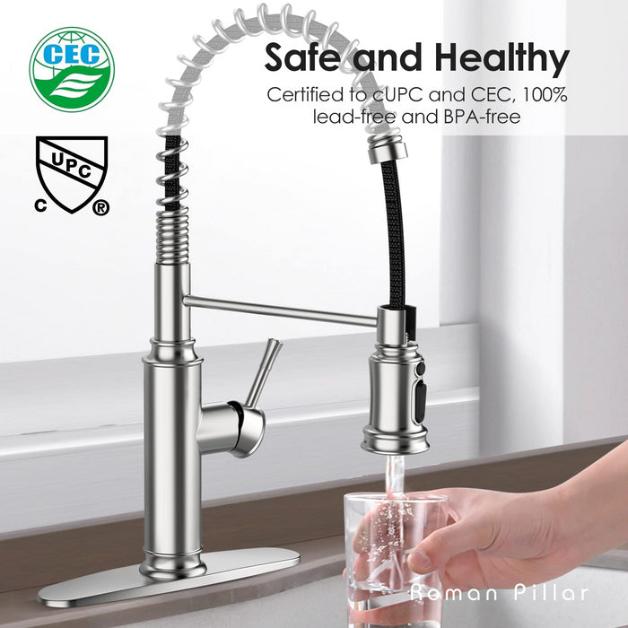 Spring Kitchen Sink Faucet with 3 Modes Pull Down Sprayer