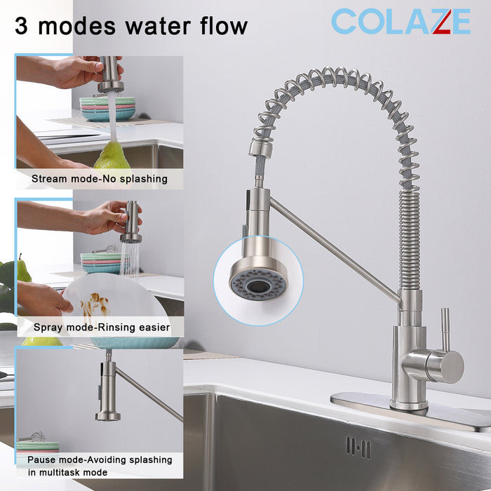 Single Handle Kitchen Faucet with Pull Down Sprayer