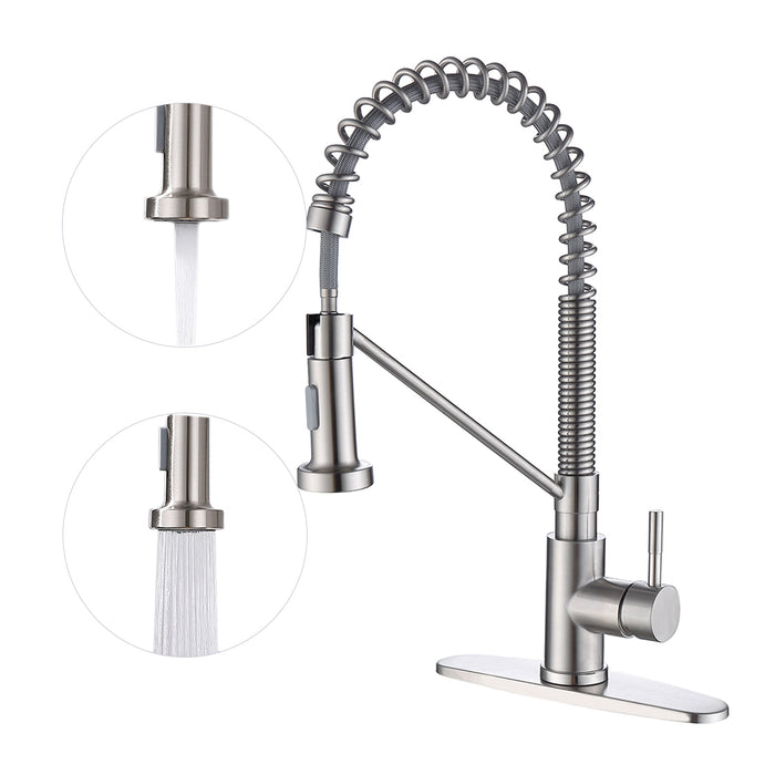 Single Handle Kitchen Faucet with Pull Down Sprayer