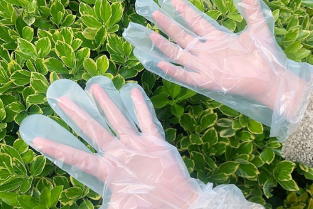 100/300/500/1000 PCS Plastic Clear Disposable Gloves - One Size