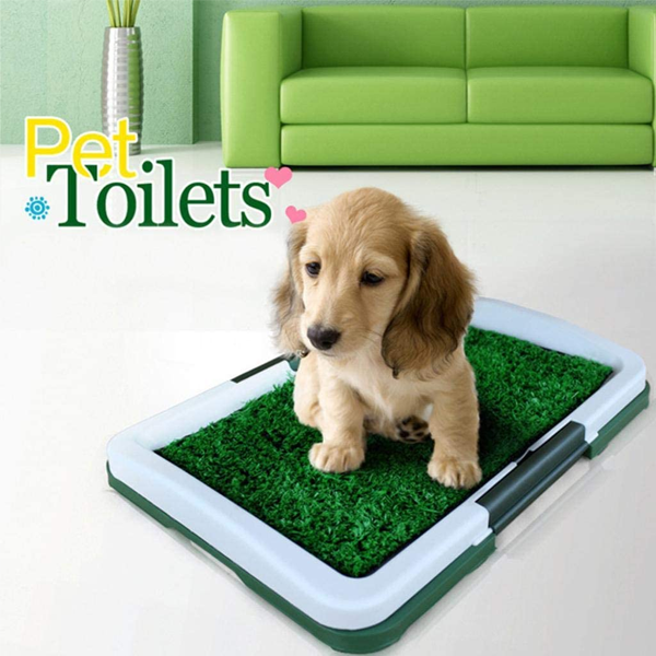 Odor-absorbing dog toilet