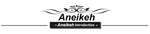 Aneikeh Women PVC Clear Transparent Pumps Sandals Perspex Heel Stilettos High Heels Point Toes Shoes Ladies Party Dress Shoes