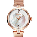 Switzerland Luxury Brand Nesun Women Watch Japan Original Auto Mechanical Watches Waterproof Nice Steel Band Lady clock N9066-2