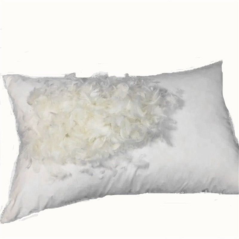 WarmsLiving 100% White Goose Down Feather Pillow Cotton Cover Five Star Hotel Pillow Adult Single