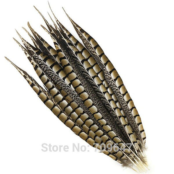 Pheasant Feathers!50Pcs/lot! 40-50CM 16-20" Natural Long Lady Amherst's Tail Feathers-Perfect for jewerly embellishment