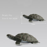 Ocean Sea Life Simulation Animal Model Sets Shark Whale Turtle Crab Dolphin Action Toys Figures Kids Educational Collection Gift