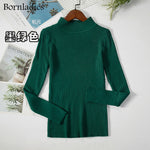 Bornladies Autumn Winter Basic Turtleneck Knitting Bottoming Warm Sweaters 2022 Women's Pullovers Solid Minimalist Cheap Tops