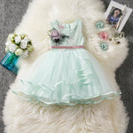 Girls Cosplay Cartoon Costume Kids Summer Short Sleeve Polka Dot Princess Dress Up Children Birthday Party Clothing